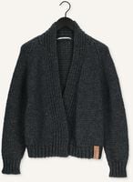 Grijze MOSCOW Vest JELENA Grijze MOSCOW Vest JELENA - medium