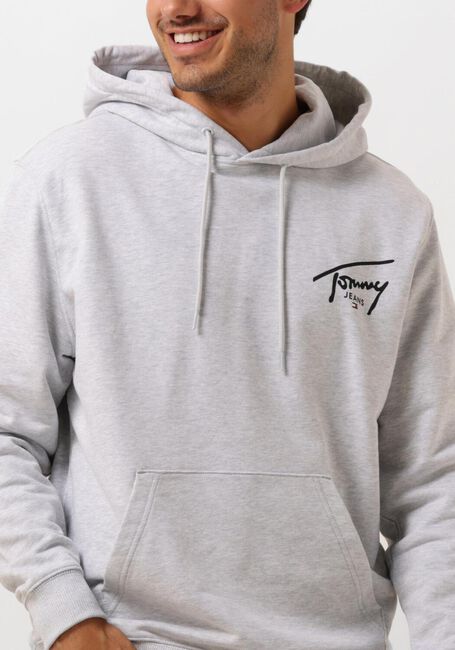 TOMMY JEANS Chandail TJM REG ENTRY GRAPHIC HOODIE EXT Gris clair - large
