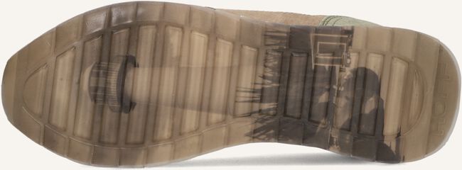 Groene THE HOFF BRAND Lage sneakers BILOXI Groene THE HOFF BRAND Lage sneakers BILOXI - large