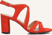 Rode NOTRE-V Sandalen 22552 Rode NOTRE-V Sandalen 22552 - medium