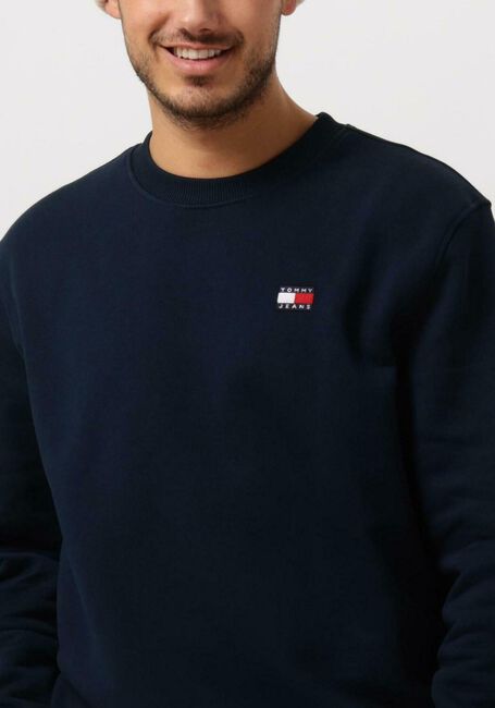 Donkerblauwe TOMMY JEANS Trui TJM REG BADGE CREW EXT - large