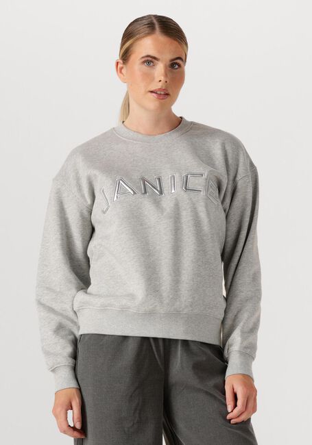 JANICE Chandail ANDY en gris - large