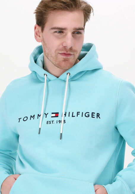 TOMMY HILFIGER Chandail TOMMY LOGO HOODY Bleu clair - large
