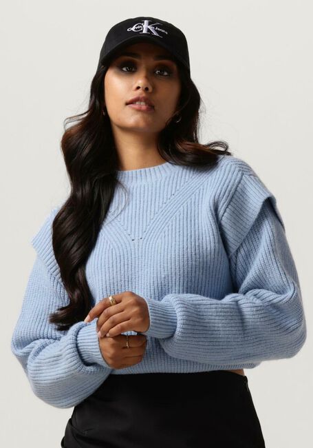 COLOURFUL REBEL Pull TOBY SLEEVE DETAIL KNIT Bleu clair - large