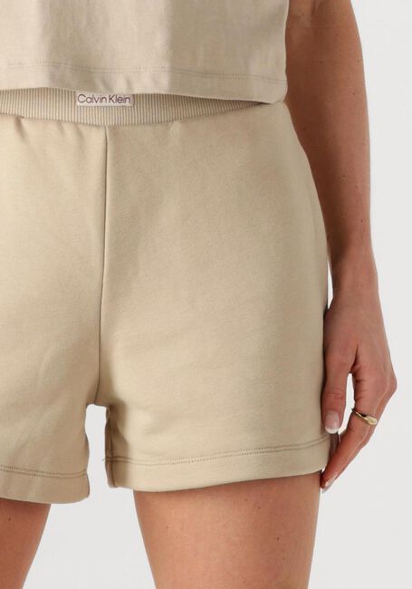 CALVIN KLEIN PLACED INSTITUTIONAL SHORT Pantalons en beige - large