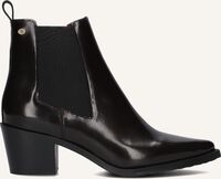 Bruine FRED DE LA BRETONIERE  JOLIE CHELSEA Bruine FRED DE LA BRETONIERE  JOLIE CHELSEA - medium