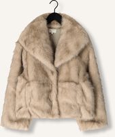 NOTRE-V NV-GALA NOTRE-V NV-GALA - medium