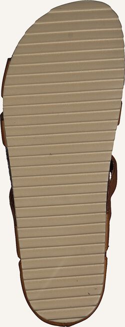Bruine CA'SHOTT Sandalen 21250 Bruine CA'SHOTT Sandalen 21250 - large