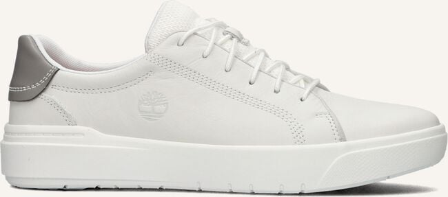 Witte TIMBERLAND Sneakers SENECA BAY OXFORD Witte TIMBERLAND Sneakers SENECA BAY OXFORD - large