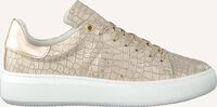 OMODA Baskets basses INGEBORG 1-CAF en beige  OMODA Baskets basses INGEBORG 1-CAF en beige  - medium