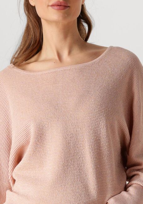 Roze NUKUS Top BATWING PULLOVER LUREX - large