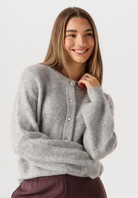Grijze MODSTRÖM Trui LENNIMD CARDIGAN - large