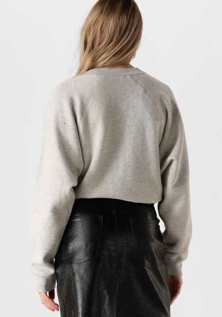 CATWALK JUNKIE Pull RELAXED RAGLAN SLEEVE SWEATER WITH STRASS en gris - large