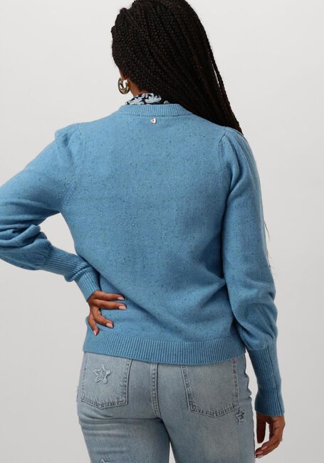 Blauwe FABIENNE CHAPOT Trui JOY BEATRICE PULLOVER - large