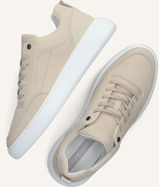 Beige CYCLEUR DE LUXE Sneakers DR7 Beige CYCLEUR DE LUXE Sneakers DR7 - large