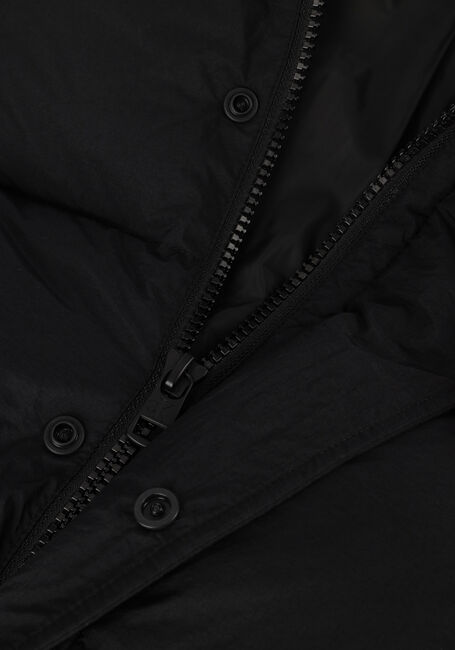Zwarte CALVIN KLEIN Gewatteerde jas ESSENTIALS NON DOWN JACKET Zwarte CALVIN KLEIN Gewatteerde jas ESSENTIALS NON DOWN JACKET - large