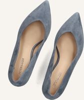 Blauwe PETER KAISER  72442 Blauwe PETER KAISER  72442 - medium