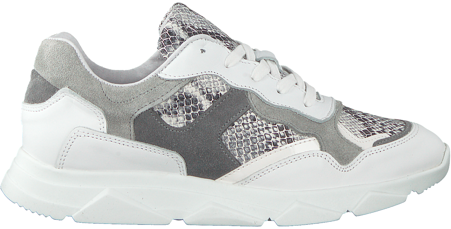 Basket tango femme clearance