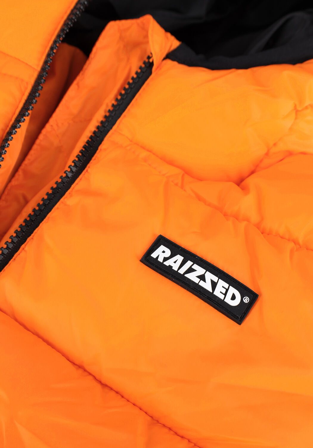 RAIZZED Veste matelass&eacute; TARBORO en orange - large