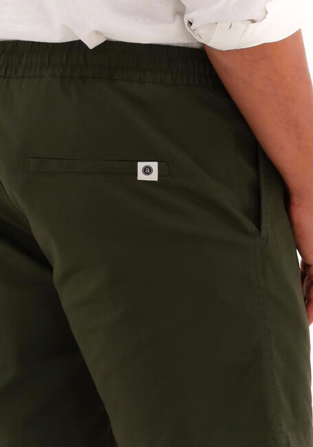 ANERKJENDT Pantalon courte AKLT JIMMY SHORTS Vert foncé - large