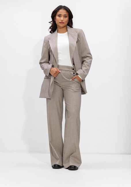 Beige CO'COUTURE Broeken/jumpsuits QUIN PIN LL PANT - large