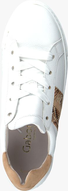 Witte GABOR Lage sneakers 495 - large