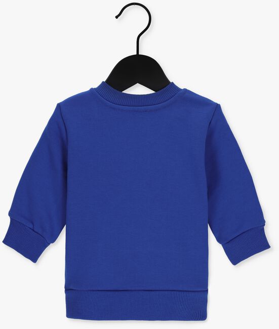 Blauwe DIESEL Sweater SCREWAVESB - large