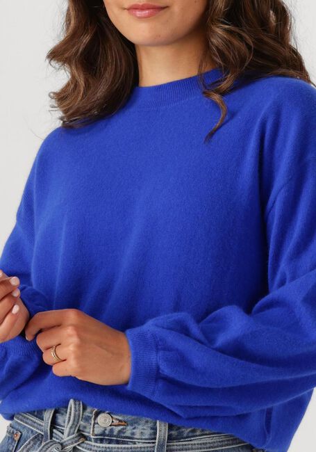 TWNS Pull COLORADO Cobalt - large