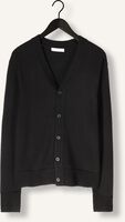 Zwarte SELECTED MEN Vest SLHTRAY LS MERINO CHUNKY V-NECK CARDIGAN Zwarte SELECTED MEN Vest SLHTRAY LS MERINO CHUNKY V-NECK CARDIGAN - medium