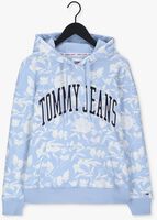 Lichtblauwe TOMMY JEANS Sweater TJM AOP HOODIE
