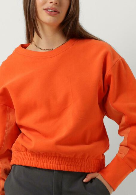 Oranje VANILIA Trui FLAT UTILITY SWEATER - large