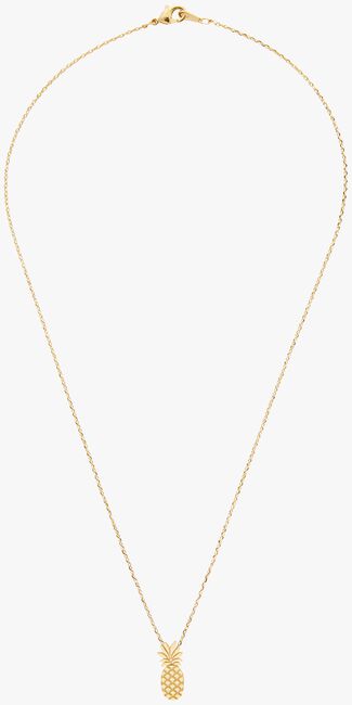 ALLTHELUCKINTHEWORLD Collier ELEMENTS NECKLACE TALL PINEAPP en or - large