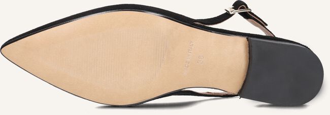 NOTRE-V 08-231 NOTRE-V 08-231 - large