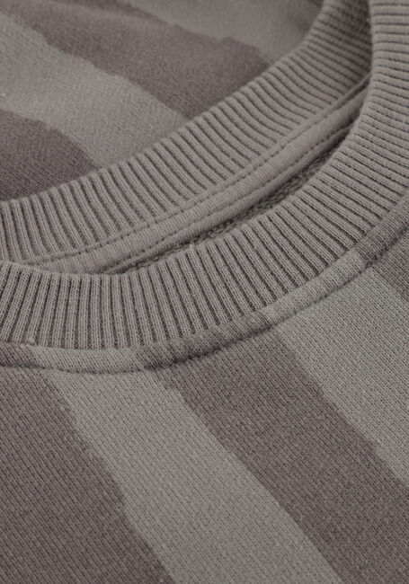 PLAY UP Chandail PRINTED FLEECE SWEATER P en taupe - large