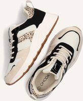 Beige OMODA Sneakers ZOË Beige OMODA Sneakers ZOË - medium