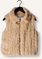 RUBY TUESDAY Veste sans manches CLEA SOFT FUR BODYWARMER LARGE COLLAR en marron RUBY TUESDAY Veste sans manches CLEA SOFT FUR BODYWARMER LARGE COLLAR en marron - medium