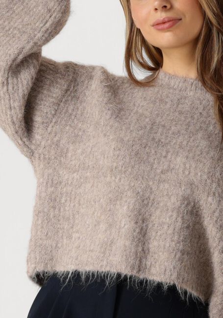 Bruine CO'COUTURE Truien/vesten CORALEE CROP KNIT - large