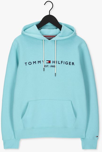 TOMMY HILFIGER Chandail TOMMY LOGO HOODY Bleu clair - large
