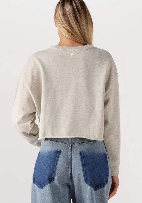 Lichtgrijze ALIX THE LABEL Trui LADIES KNITTED SOFT SWEATER - large