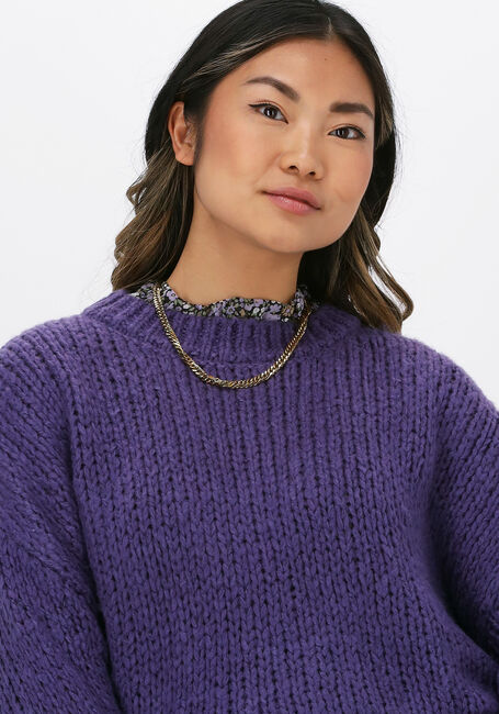 Paarse COLOURFUL REBEL Trui OLIVIA CREW NECK SWEATER - large