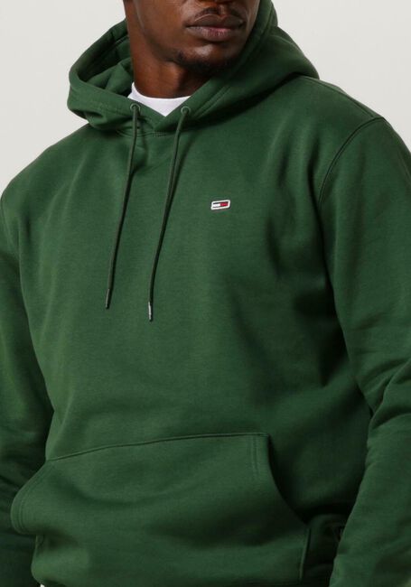 TOMMY JEANS Chandail REGULAR FLEECE HOODIE Vert fonc&eacute; - large
