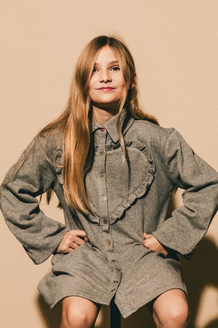 Grijze Labo de Colores Mini jurk KABE - large