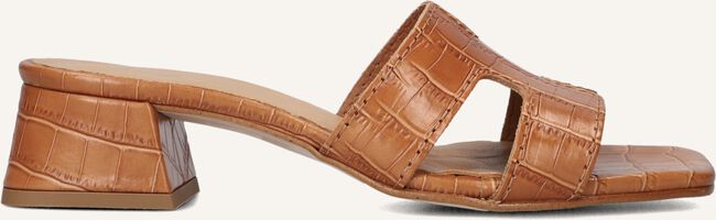 Bruine NOTRE-V  AS-16621 Bruine NOTRE-V  AS-16621 - large