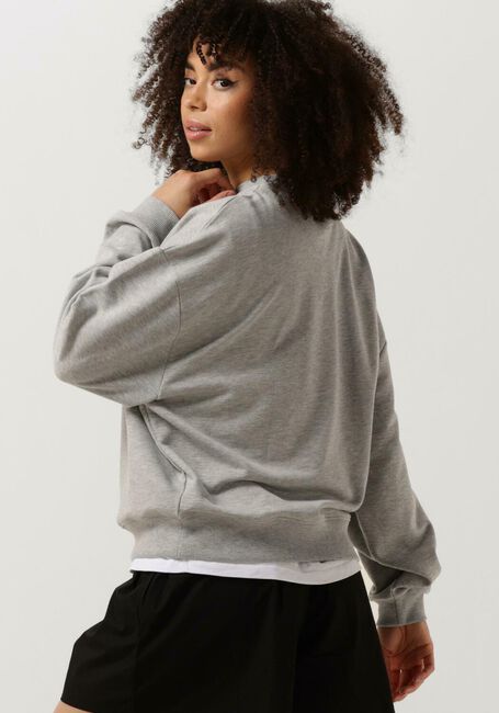 DEBLON SPORTS Chandail CIA SWEATER en gris - large