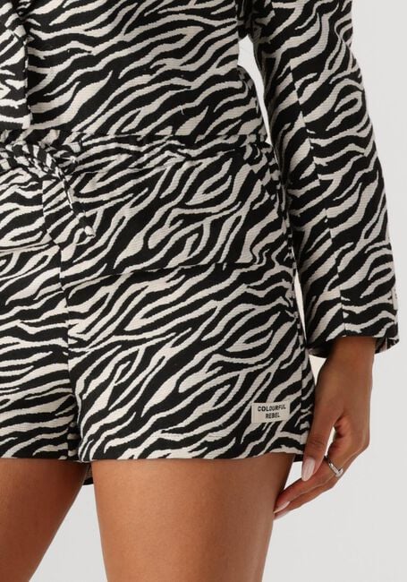 COLOURFUL REBEL FLORENCE ZEBRA JACQUARD SHORT Pantalons en gris - large