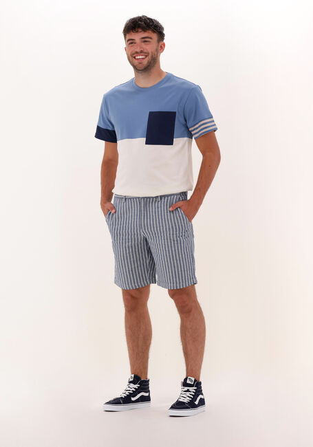ANERKJENDT Pantalon courte AKLT JOHN STRIPE SHORTS en bleu - large
