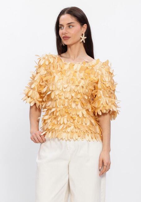 AAIKO ANGELINA PES 526 Blouses en jaune - large