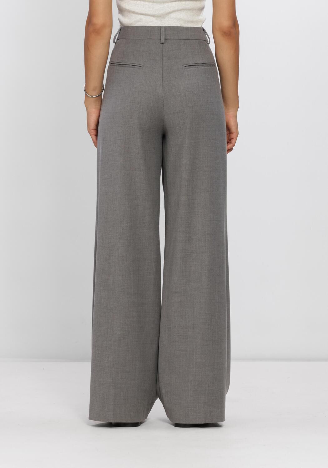 Grijze DANTE6 Wijde broek BIAXA PLEATED PANTS - large