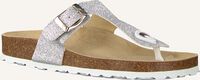 Zilveren DEVELAB Slippers 48062 Zilveren DEVELAB Slippers 48062 - medium