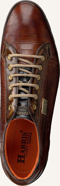 Cognac HARRIS Sneakers CARDIFF Cognac HARRIS Sneakers CARDIFF - large